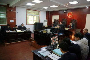 掃黑除惡 平利縣院檢察長(zhǎng)出庭公訴涉惡案件