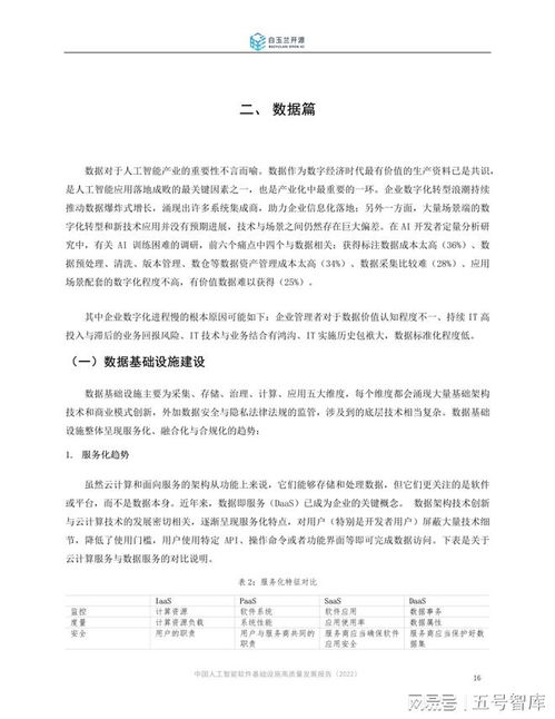 中國人工智能軟件基礎(chǔ)設(shè)施高質(zhì)量發(fā)展報(bào)告